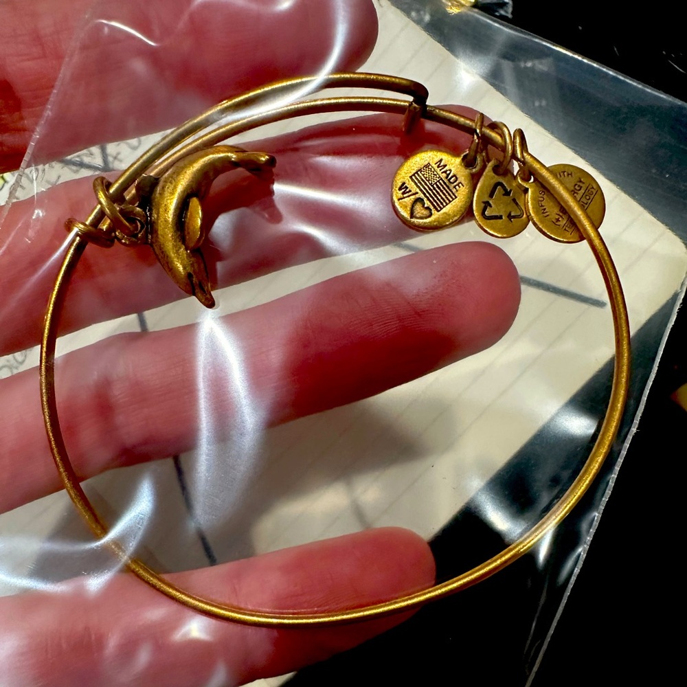 Alex and Ani Dolphin Bracelet